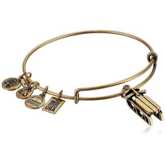 Team USA Sled Charm Bangle