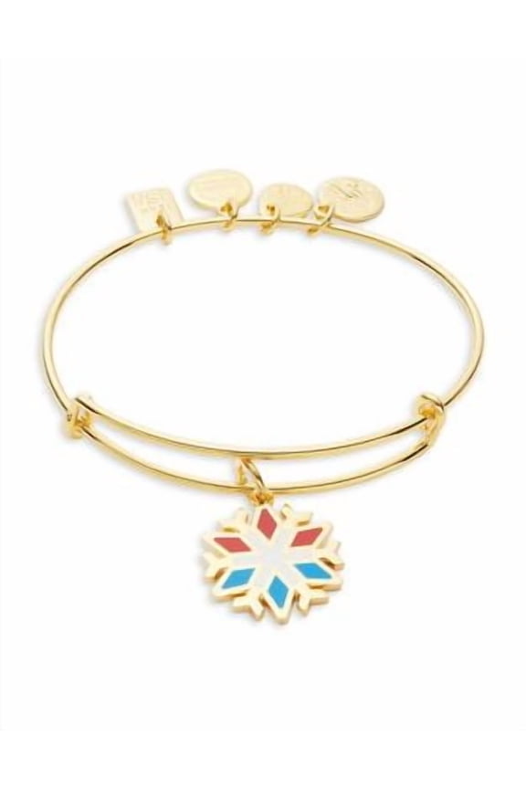 Team USA Snowflake Charm Bangle Bracelet