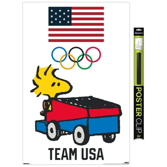 Team USA x Peanuts – Woodstock Drives the Zamboni Wall Poster, 22.375" x 34"