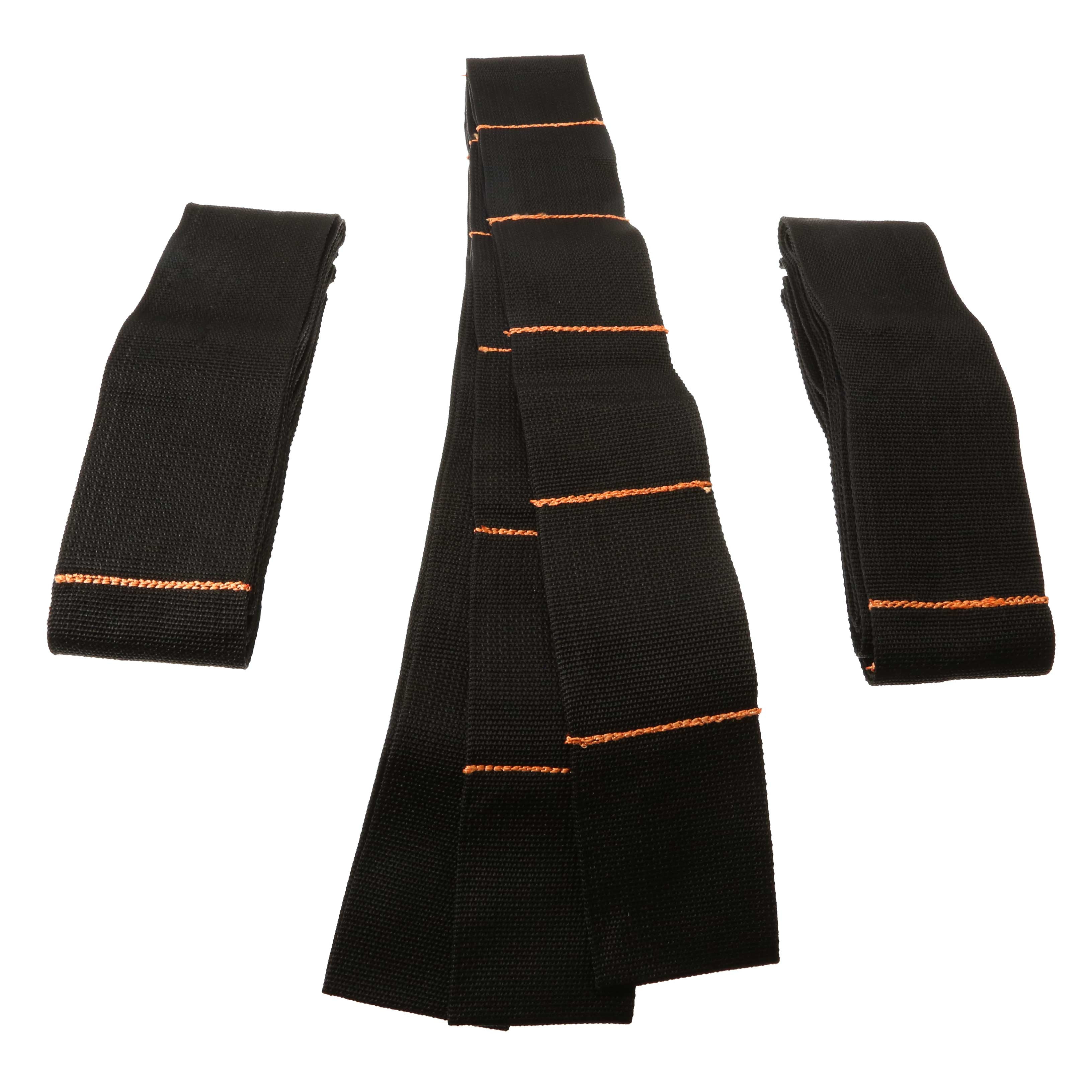 TeamStrap Moving Straps