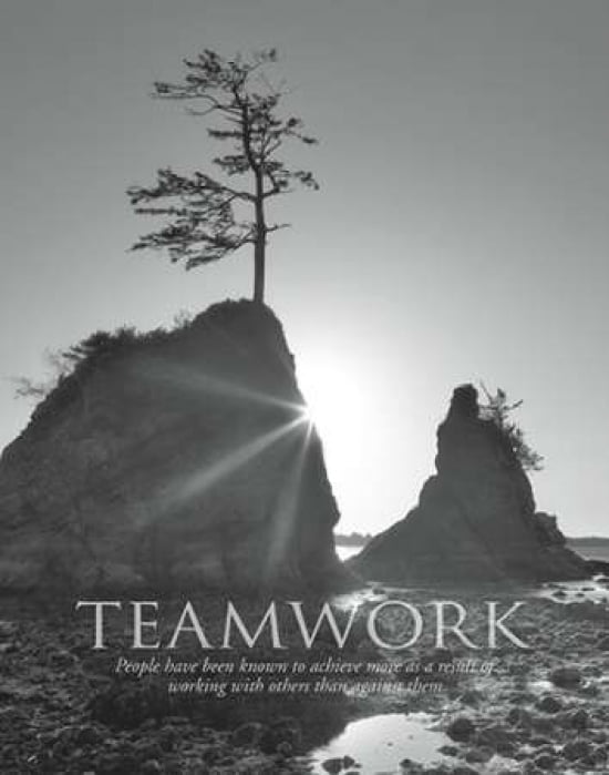 Teamwork Canvas Art - Dennis Frates (22 x 28)