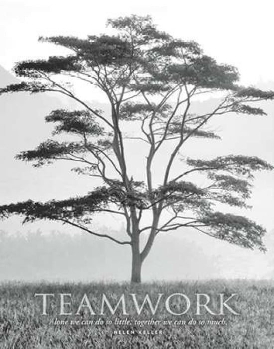 Teamwork Canvas Art - Dennis Frates (22 x 28)