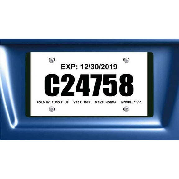 Tear Resistant Temporary Tags for Car Dealers - Blank Printable - 1 Perforated Tear Off Section