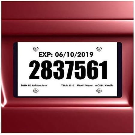 Tear Resistant Temporary Tags for Car Dealers - Blank Printable - 2 Perforated Tear Off Sections