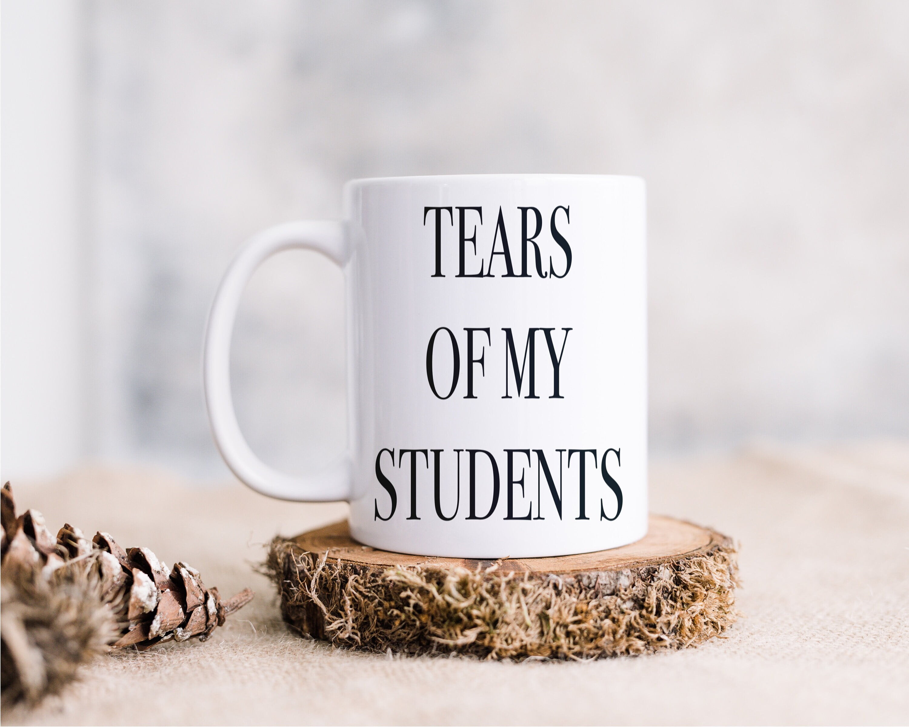 White Ceramic 11oz Funny Teacher Appreciation Mug