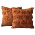 thumbnail image 1 of TeasBank Halloween Decoration Pillowcase Caramel-Colored Pumpkin Throw Pillow Case Home Decor for Sofa Living Room Square Pillow Covers 16x16 Inch Set of 2, 1 of 4