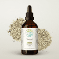 thumbnail image 1 of HerbEra Teasel Tincture, Herbal Dietary Supplement for Joint Support, Teasel (Dipsacus fullonum) Dried Root Extract, Natural, Alcohol-Free, Drops 4 oz, 1 of 7