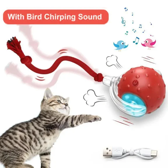 Teasing Cat Electronic Toy Sound Effect Lamp Effect Teasing Dog Ball Pet Interactive Toy-Interactive USB Rechargeable Ball Toy for Cats & Dogs with Bird Chirping,