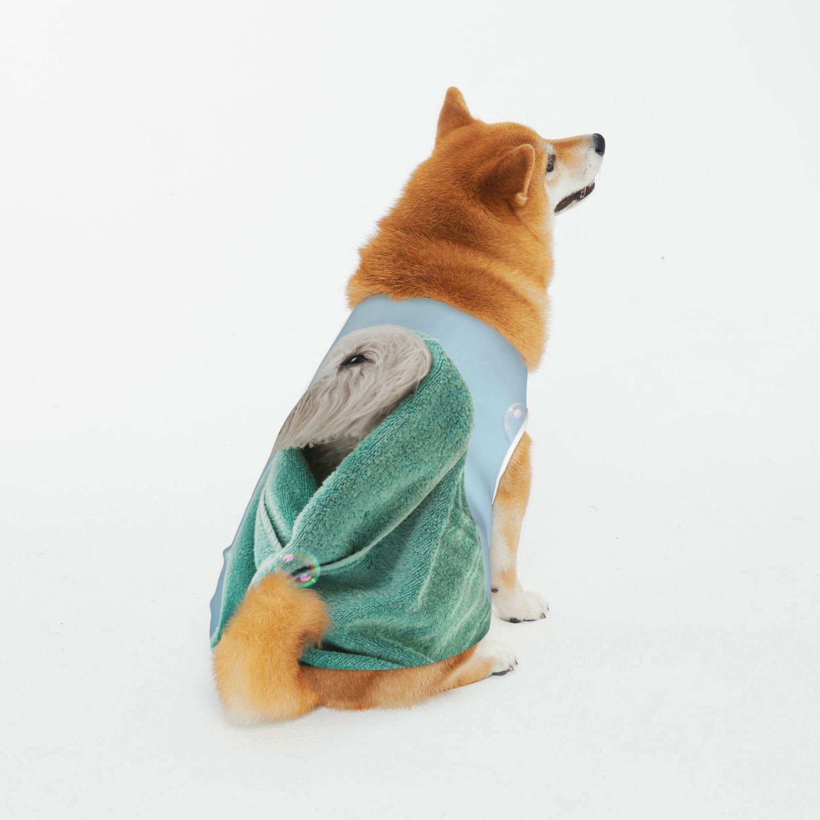 Tebeau Dog Wrapped in Towel 标题
