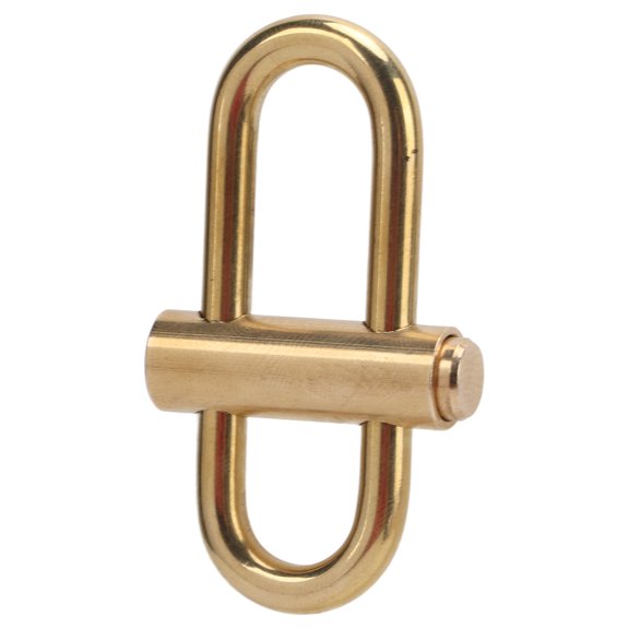 Tebru Brass Lock Keychain Smal Oval Slide Locking Snap Lock Clip Buckle Carabiner Key Holder,Brass Lock Keychain,Snap Lock Carabiner Keychain