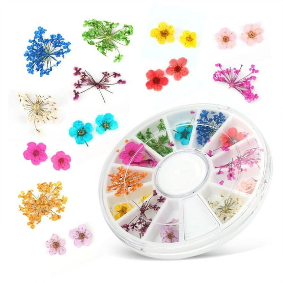 Tebru Colorful Dried Flowers,12 Types Colorful Natural Dried Flowers Set Real Dry Flowers Nail Decoration Manicure Arts,Dried Flowers