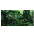 thumbnail image 1 of Tebru Rainforest Background, Fish Tank Poster, Non-Toxic For Reptile Box Fish Tank, 1 of 8
