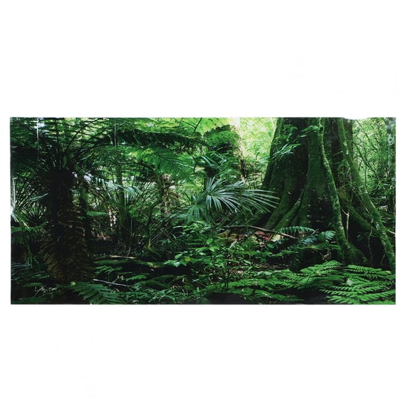 Tebru Rainforest Background, Fish Tank Poster, Non-Toxic For Reptile Box Fish Tank
