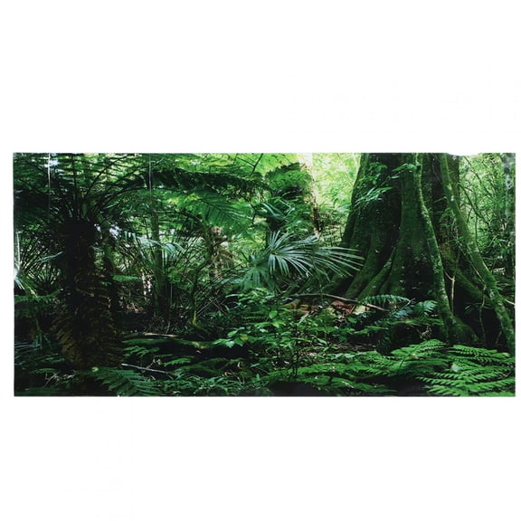 Tebru Rainforest Background, Fish Tank Poster, Non-Toxic For Reptile Box Fish Tank