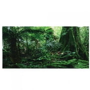 Tebru Rainforest Background, Fish Tank Poster, Non-Toxic For Reptile Box Fish Tank