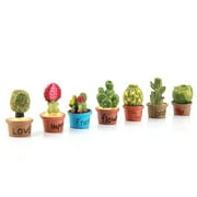 Tebru Tiny Cactus Miniature Plants Pot Decoration Mini Plant 7 Pcs, Pot, Ornament