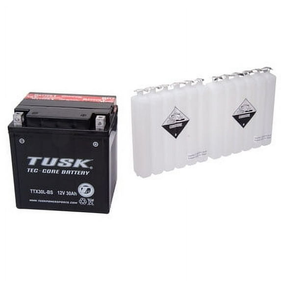 Tec-Core Battery with Acid TTX30L-BS Maintenance-Free for Polaris RANGER RZR XP 900 2011-2014