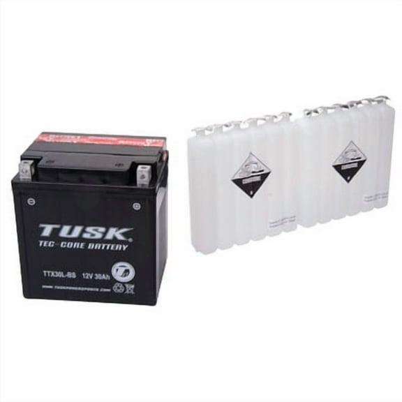 Tec-Core Battery with Acid TTX30L-BS Maintenance-Free for Textron WILDCAT SPORT 700 2018