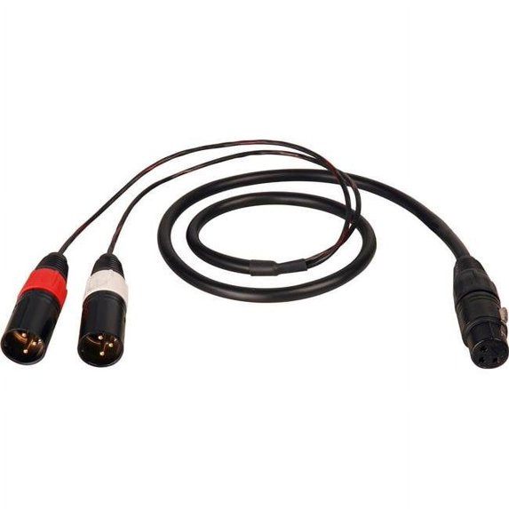 TecNec TN-XLF-2XLM-75 Premium XLR Female to 2 -XLR Male Y-Cable - 75 ft.