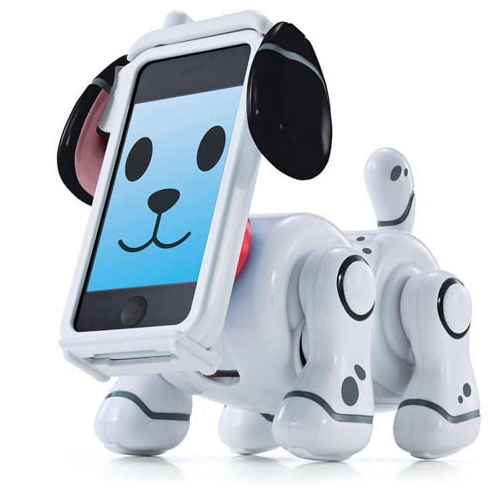 Techpet  Dalmation