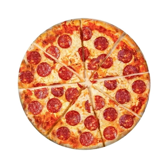 TechToyHub Funny Pizza Nap Blanket, 35.4x35.4in Realistic Print, for Couch Bed Travel, Soft Double Layer