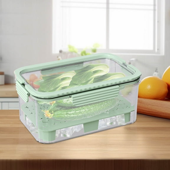 TechToyHub PET Portable Cold Storage Box with Handle, Ice Pack Cooler Container, for Outdoor Picnic and Beverage, Leak Proof with 9.1 x 5.9 x 4.3 in Size