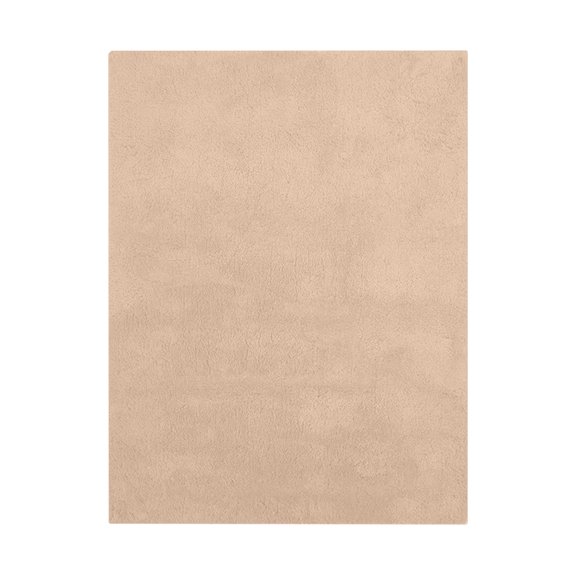 TechToyHub Polypropylene European Solid Color Carpet for Living Room Bedroom or Coffee Table Thickened Washable Non-Slip Floor Mat 23.6x63.0 in