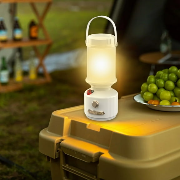 TechToyHub Portable Outdoor Camping Lantern, Rechargeable LED Light for Home Patio and Wall, for Halloween Christmas Decoration, 1pc