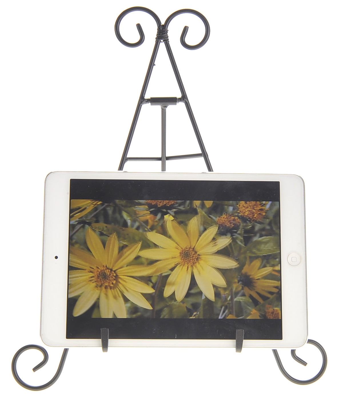 TechWonder 9" Black Iron Display Stand - Black