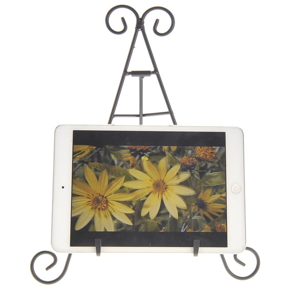 TechWonder 9" Black Iron Display Stand - Black