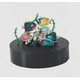 thumbnail image 1 of TechWonder Magnetic Desktop Sculpture Aquarium, 1 of 1