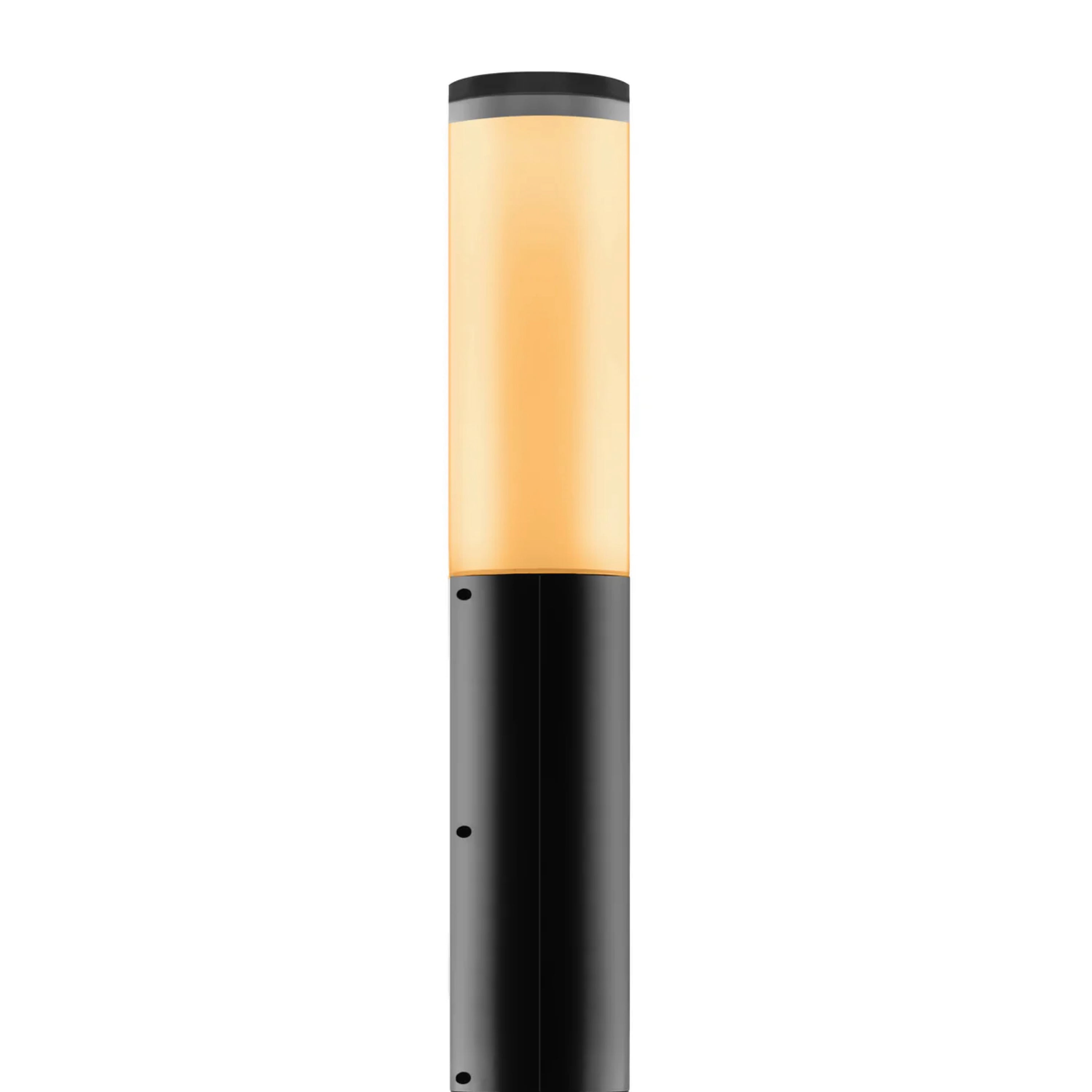 Black Solar LED Pathway Light with Dusk to Dawn Sensor