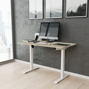 Techni Mobili 47" Motorized Sit to Stand Desk with Heavy-Duty Steel Frame, Oak and White