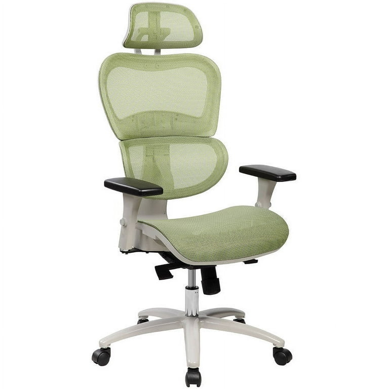 https://i5.walmartimages.com/seo/Techni-Mobili-High-Back-Mesh-Executive-Office-Chair-with-Neck-Support-Green-RTA-5004_280c1096-4175-4069-9599-4b89de83eda2.1c27aa6d29bb6a4ca3a44500deeca7b4.jpeg?odnHeight=768&odnWidth=768&odnBg=FFFFFF
