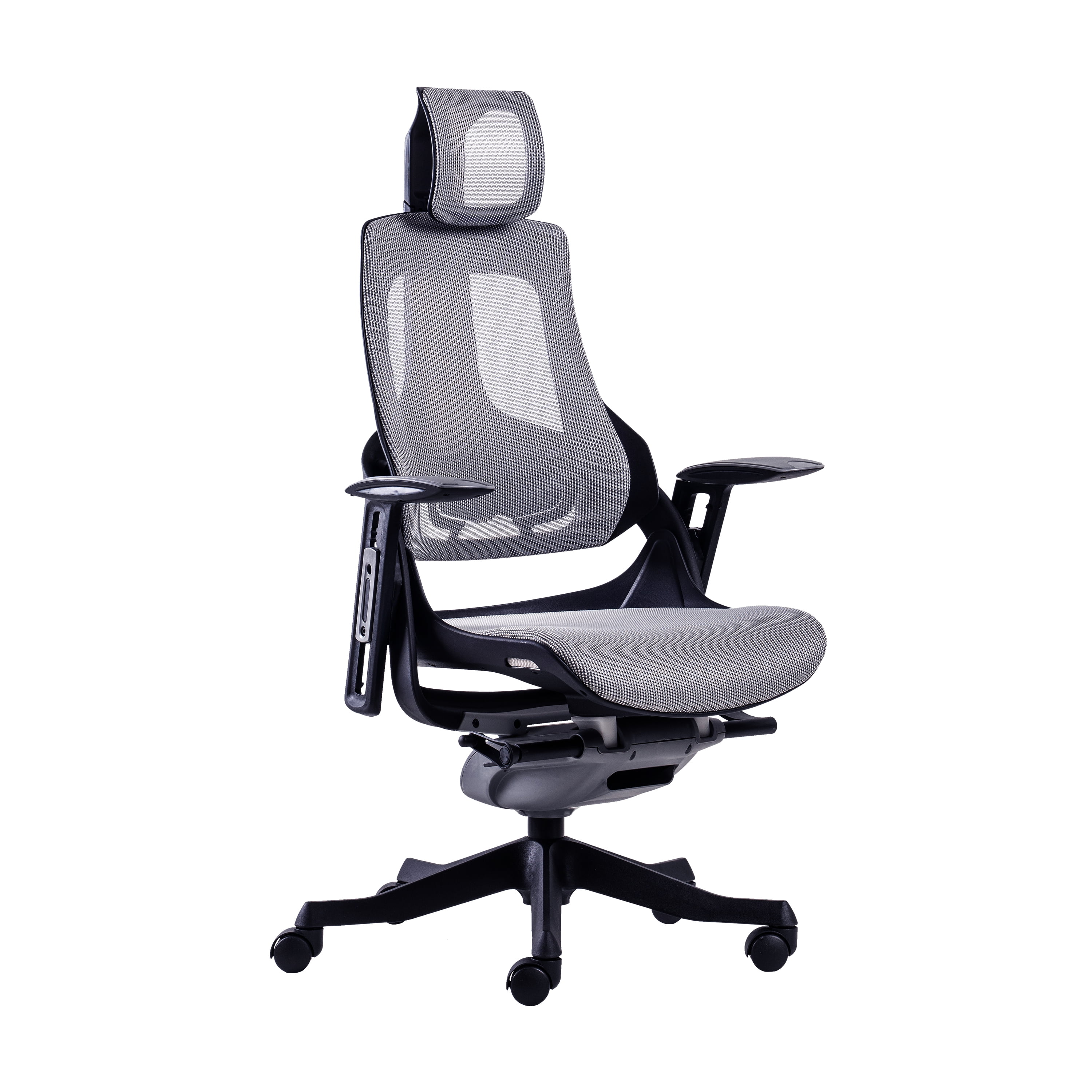 Techni Mobili Lux Ergonomic Executive Office Chair with Adjustable Lumbar Support & Height Adjustable Reclining Backrest RTA-1818C-GRY