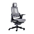 thumbnail interactive-video image 1 of Techni Mobili Lux Ergonomic Executive Office Chair with Adjustable Lumbar Support & Height Adjustable Reclining Backrest RTA-1818C-GRY, 1 of 16