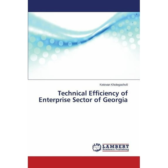 Technical Efficiency of Enterprise Sector of Georgia (Paperback)