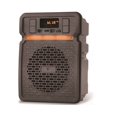 thumbnail image 1 of Technical Pro Rechargeable LED Bluetooth Speaker With App I/P Bluetooth, USB, FM Radio, 30 Feet Range, On-The-Go Speaker, 1 of 6