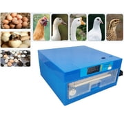 Techtongda 64 Eggs Drawer Incubator Automatic Egg Incubator Temperature and Humidity Dual Display
