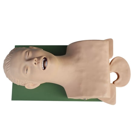 Techtongda Teaching Study Model Airway Management Trainer Intubation Manikin 110/220V