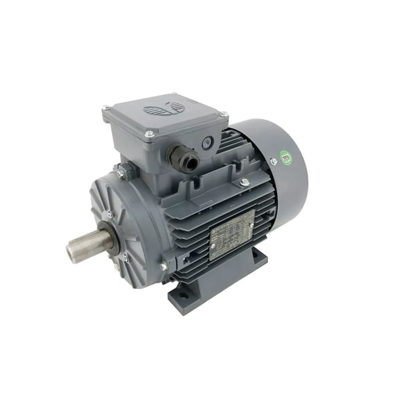 Techtop GR3-AL-TF-90LB3-2-B-D-3 Motor 3 HP 3600 Rpm 3PH 230/460 V 90L Frame B3