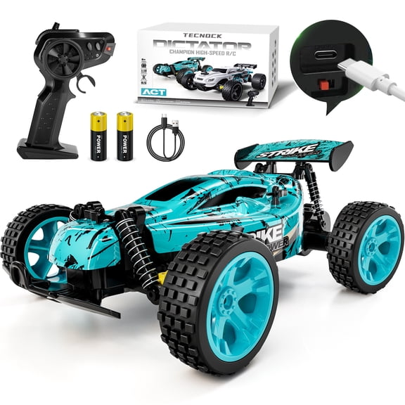 Tecnock RC Cars for Kids 1:18 Scale, High Speed 2WD Offroad Buggy, 2.4GHz Remote Control Car Racing with 50 Mins Playtime, Gift for Boys Girls