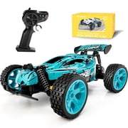 Tecnock RC Cars for Kids 118 Scale, High Speed 2WD Offroad Buggy, 2.4GHz Remote Control Car Racing with 50 Mins Playtime, Gift for Boys Girls