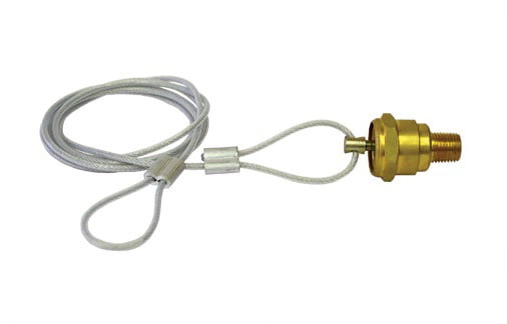 Tectran TV12105U Manual Drain Valve, Air Tank, 5â€™ Uncrimped