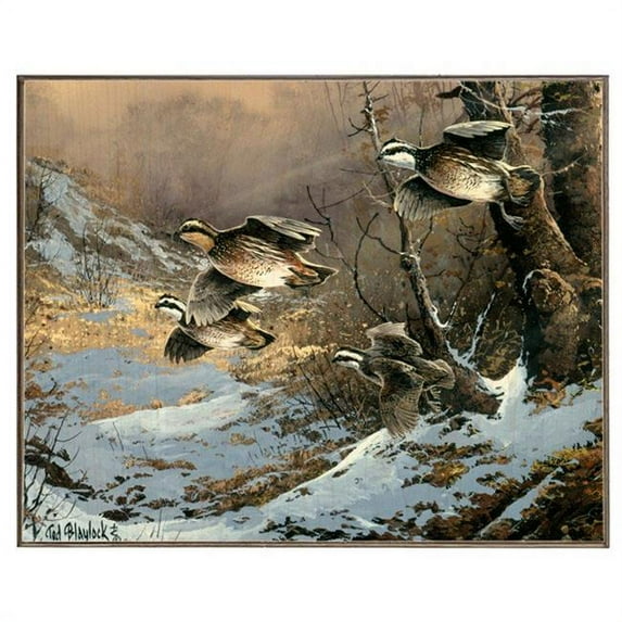 Ted Blaylock LS2706WB1215-TB 12 x 15 in. Quail in Flight Birch Wood Print