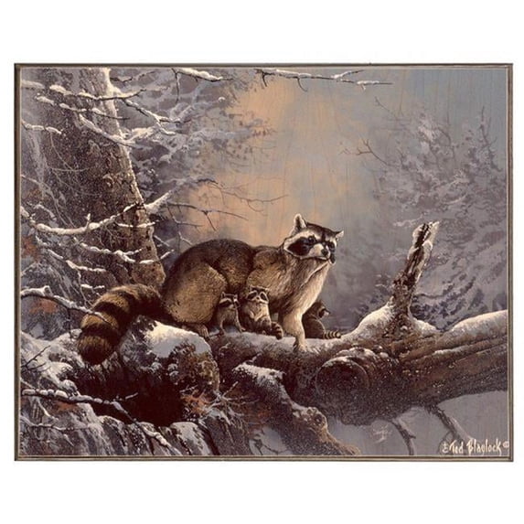 Ted Blaylock LS2779WB1215-TB Out On a Limb-Raccoon, Birch Wood Print