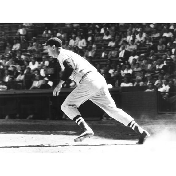 Ted Williams History (24 x 18)