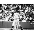 thumbnail image 1 of Ted Williams History (24 x 18), 1 of 2
