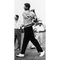 thumbnail image 1 of Ted Williams Of The Boston Red Sox History (24 x 36), 1 of 1