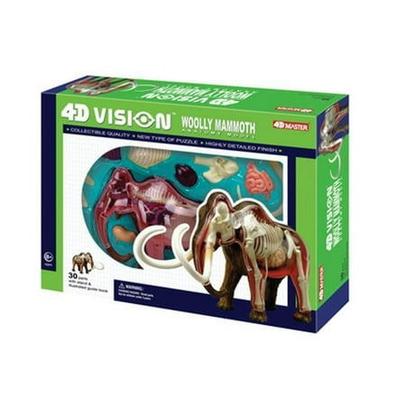 Tedco Toys 4D Vision Wolly Mammouth Anatomy Model